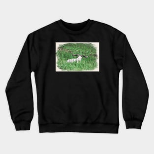 Billy goat Crewneck Sweatshirt